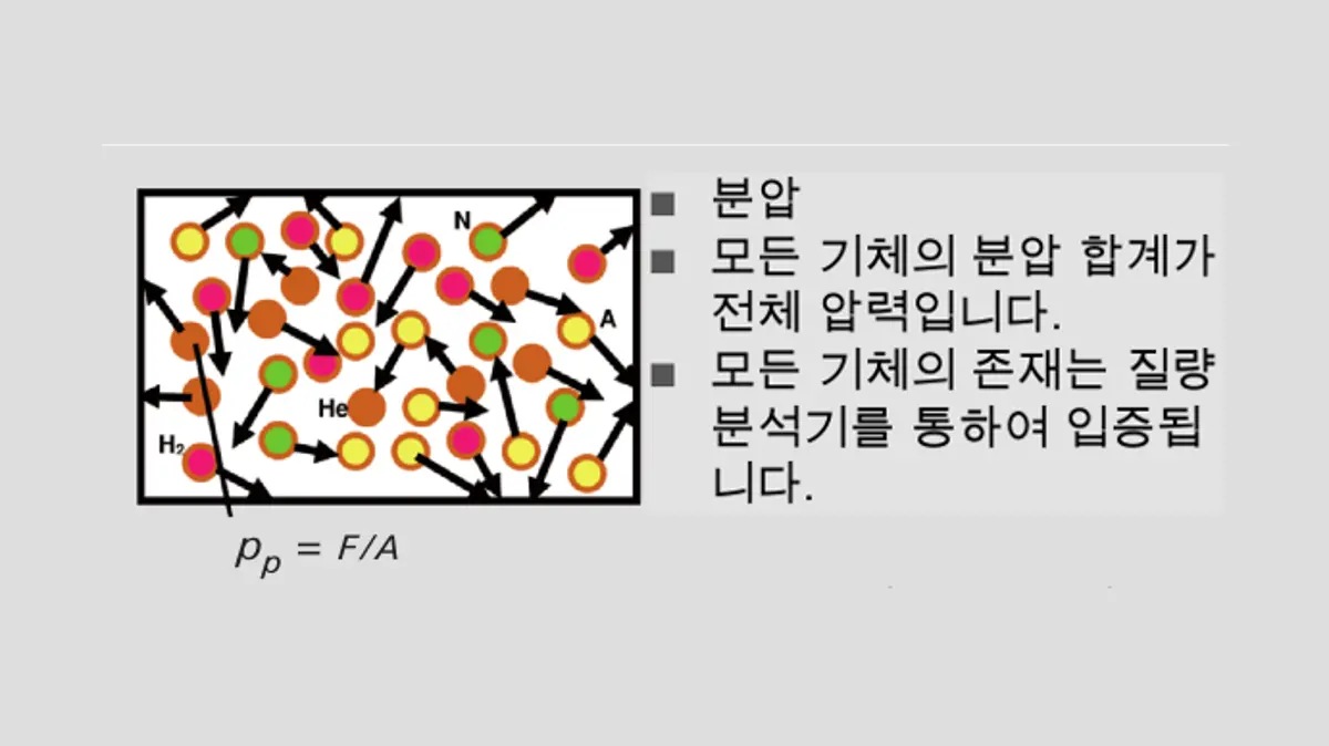 filters_focal___grayscale_false__format_webp__3