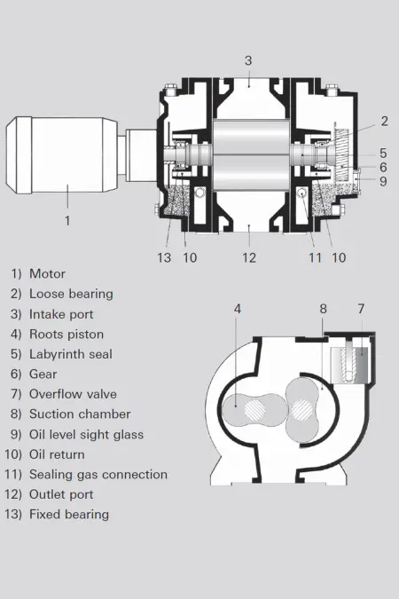 Cross-section of Roots pump showing labeled parts: motor, bearings, pistons, seals, valves, and ports